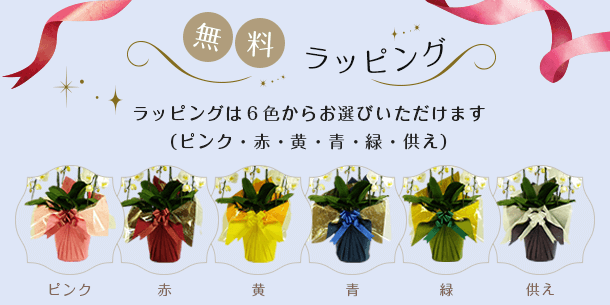 無料ラッピング ラッピングは6色からお選びいただけます（ピンク・赤・黄・青・緑・供え）