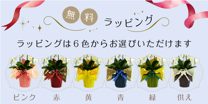 無料ラッピング ラッピングは6色からお選びいただけます（ピンク・赤・黄・青・緑・供え）