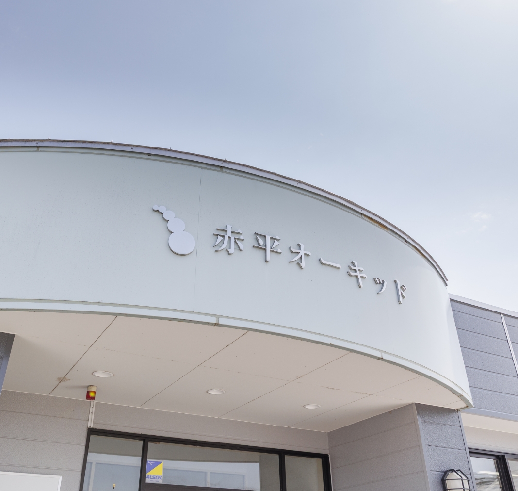 赤平オーキッドについて